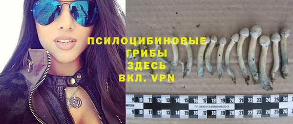 стаф Семёнов