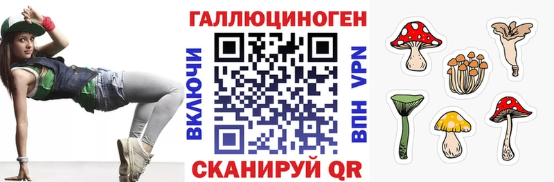 купить   Балабаново  Галлюциногенные грибы MAGIC MUSHROOMS 